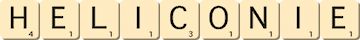 heliconie