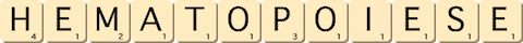 hematopoiese hematopoiese