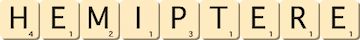hemiptere hemiptere