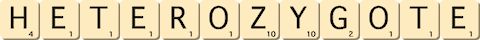 heterozygote heterozygote