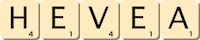 hevea