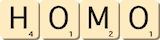homo homo