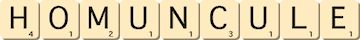 homuncule homuncule