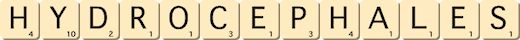 hydrocephales hydrocephales