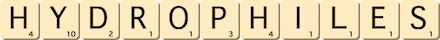 hydrophiles hydrophiles