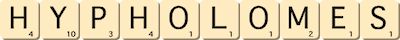 hypholomes hypholomes