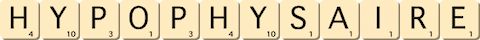 hypophysaire hypophysaire