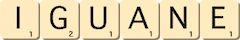 iguane iguane