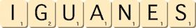 iguanes iguanes