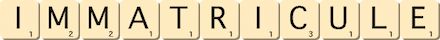 immatricule immatricule