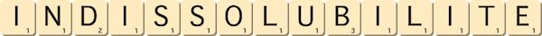 indissolubilite
