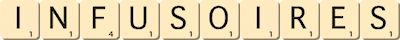 infusoires infusoires