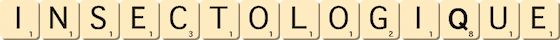 insectologique