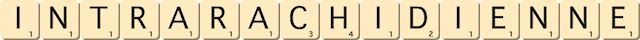 intra-rachidienne