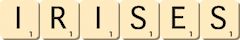 irises irises