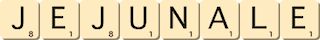jejunale jejunale