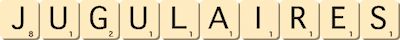 jugulaires