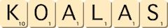 koalas koalas
