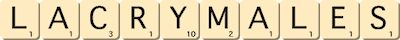 lacrymales lacrymales