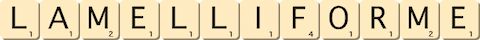 lamelliforme lamelliforme