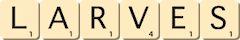 larves