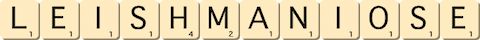 leishmaniose