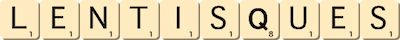 lentisques lentisques