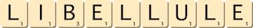 libellule libellule