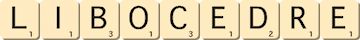 libocedre