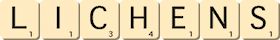 lichens