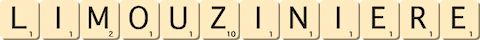 limouziniere