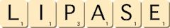 lipase lipase