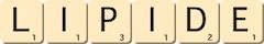 lipide