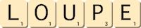 loupe