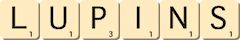 lupins lupins