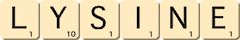 lysine lysine