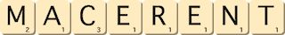 macerent macerent