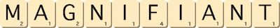 magnifiant magnifiant