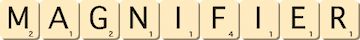 magnifier magnifier
