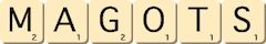 magots magots