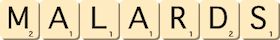 malards malards