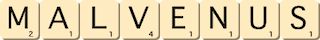 malvenus malvenus
