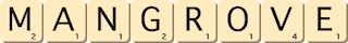 mangrove