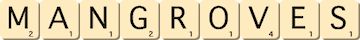 mangroves