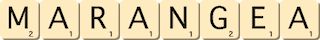 marangea marangea