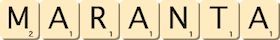 maranta maranta