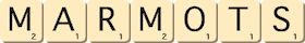 marmots marmots