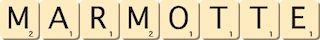 marmotte marmotte