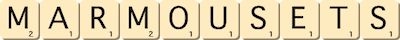 marmousets marmousets