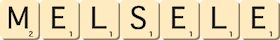 melsele melsele